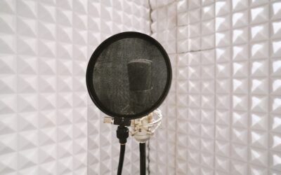 Jenis, Fungsi, dan Cara Memilih Peredam Studio Musik